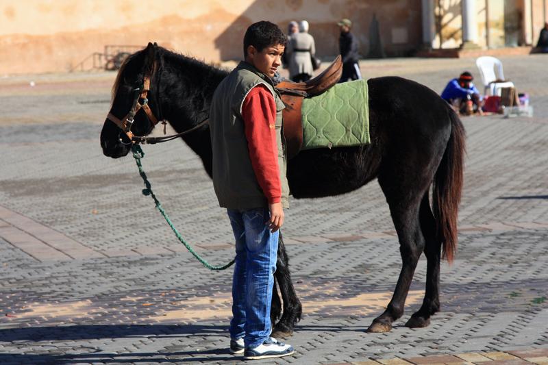 97-Meknes,29 dicembre 2013.JPG